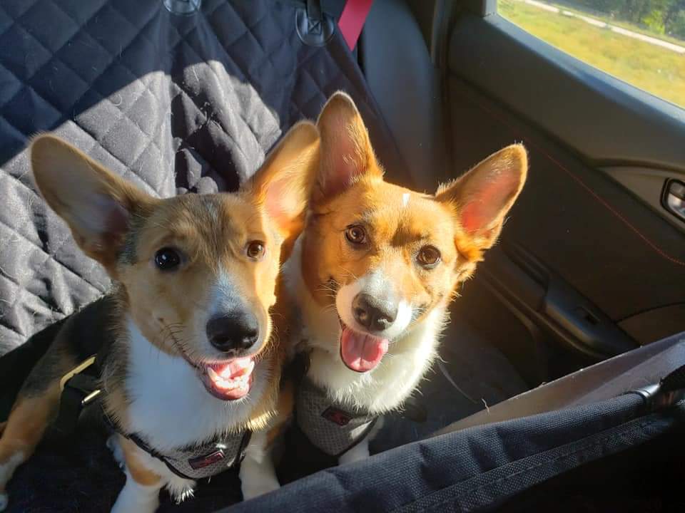 TheDayLateGamer's tweet photo. @thebesttaco Oh yeah, plan most of my travel around these two! Makes it hard sometimes! https://t.co/uz9Mveo2vb