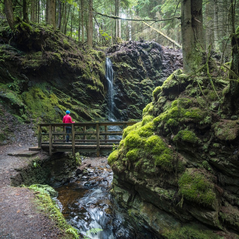 VisitScotland's tweet photo. Dreaming of exploring #Scotland's great outdoors? Walk this way! 👣🌲