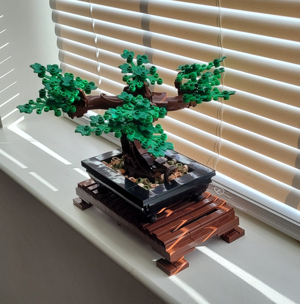 blondieepanda's tweet photo. Forgot I never showed off my bonzai tree here! Got this done like a month ago too. Was very fun to put together and look forward to adding the cherry blossoms to it in April 🌸 https://t.co/TZcD5yysLz