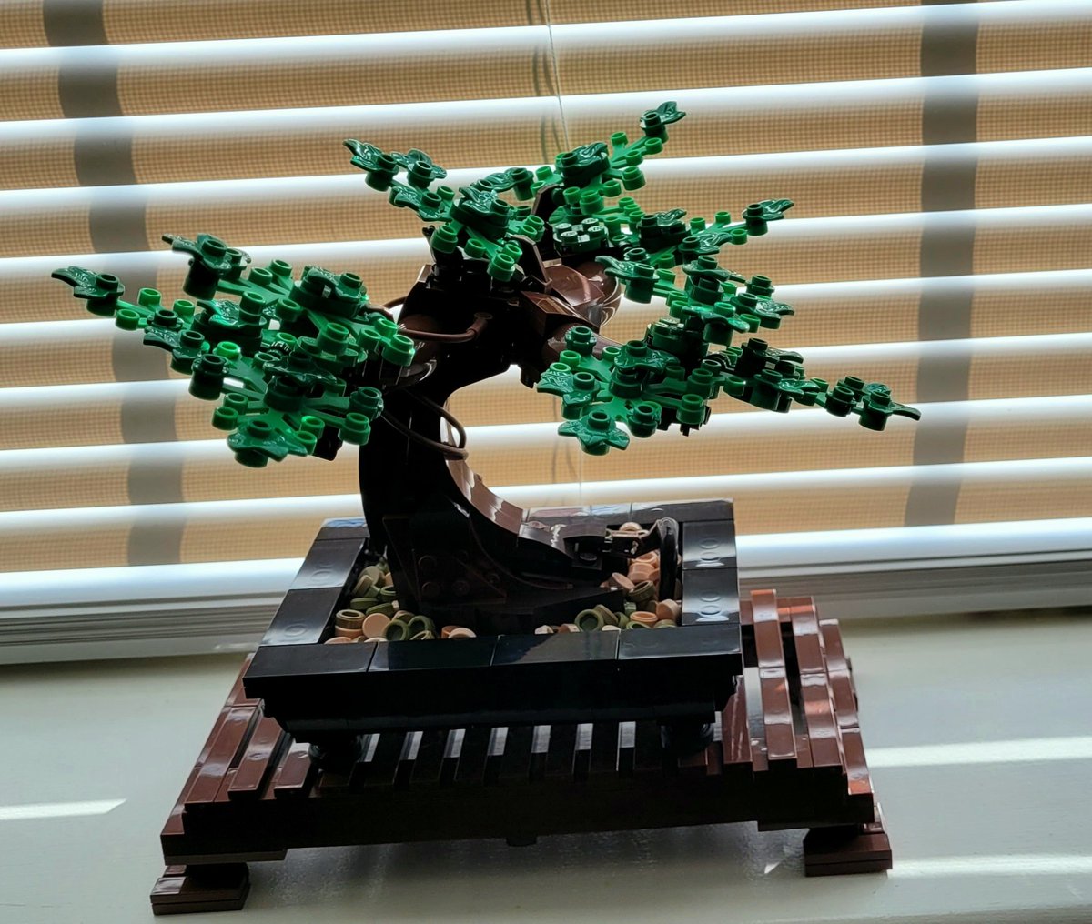 blondieepanda's tweet photo. Forgot I never showed off my bonzai tree here! Got this done like a month ago too. Was very fun to put together and look forward to adding the cherry blossoms to it in April 🌸 https://t.co/TZcD5yysLz
