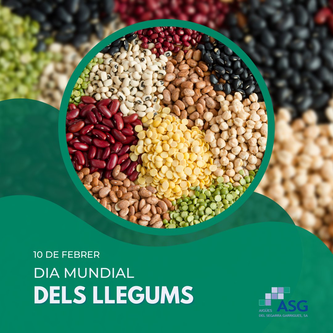 asg_sa's tweet photo. 📆En el Dia Mundial dels #Llegums, coneix el projecte @LegSapiens, que difon els beneficis de consumir i produir #lleguminoses per tal d'impulsar la seva producció i la rendibilitat d'aquest cultiu.
🔗https://t.co/4O5fEL35HV
#GrupOperatiuCat #ASG https://t.co/OC1igodpA3