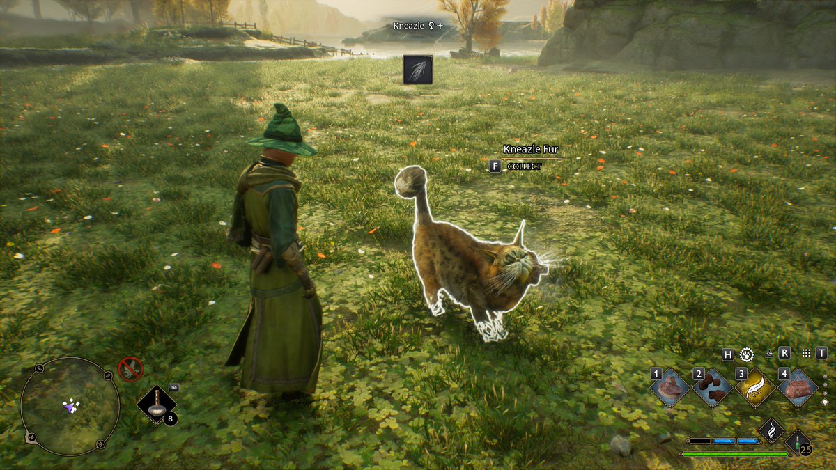 SerrocGaming's tweet photo. SHINY KNEAZLE!!! First one I've noticed  that  isn't  a  white-wash  alteration. @HogwartsLegacy https://t.co/W3Exp0rYVw