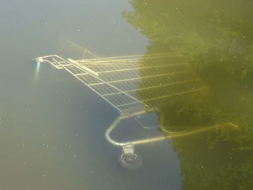 Einkaufswagenkunst (@wagerlkunst) on Twitter photo #FF #Einkaufswagenkunst #Frauenpower #Powerfrauen
<a href="/Ruthildchen/">Ruthild</a>
@DIE_JANNE
<a href="/mmaeckie/">Hildegard Mihm ruhr.social/@mmaeckie</a>
<a href="/AndraCrome/">A.C.</a>
<a href="/FrauvanAdis/">Frau van Adis</a>
<a href="/FrauKassandra/">Sabine Karrer 💙💛 #womanlifefreedom</a>
@P0llyticks
<a href="/SusanNou/">Susan Nou</a> #FF #Einkaufswagenkunst #Frauenpower #Powerfrauen
<a href="/Ruthildchen/">Ruthild</a>
@DIE_JANNE
<a href="/mmaeckie/">Hildegard Mihm ruhr.social/@mmaeckie</a>
<a href="/AndraCrome/">A.C.</a>
<a href="/FrauvanAdis/">Frau van Adis</a>
<a href="/FrauKassandra/">Sabine Karrer 💙💛 #womanlifefreedom</a>
@P0llyticks
<a href="/SusanNou/">Susan Nou</a>
