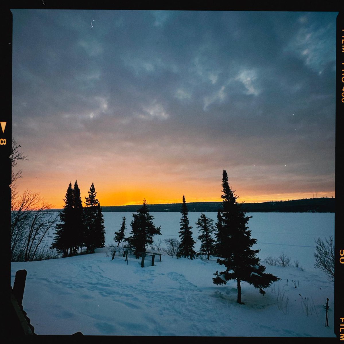BorderlandLodge's tweet photo. moody winter mornings 
.
.
.
.
#moodygrams #gunflintlake #aframecabin #loft #sunrise #mn #borderlandlodge #jackpinecabin #dawn https://t.co/7XMssjPd4u