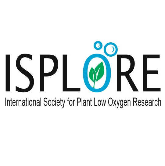 Big news: ISPLORE is the new name of ISPA. We are now the International Society of Plant Low Oxygen Research. Read more here: sites.google.com/ucr.edu/ispa/