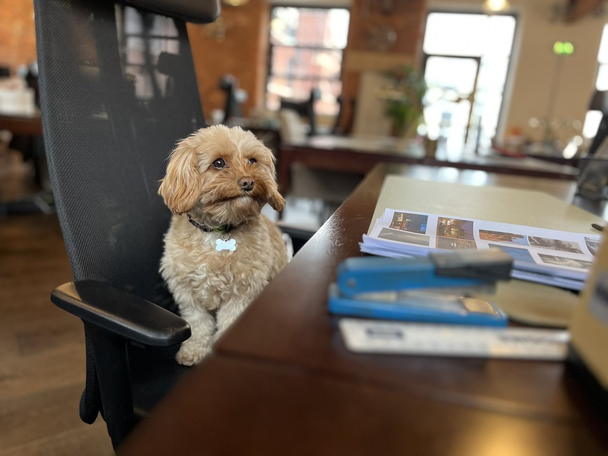 Spoken-Image tweet media