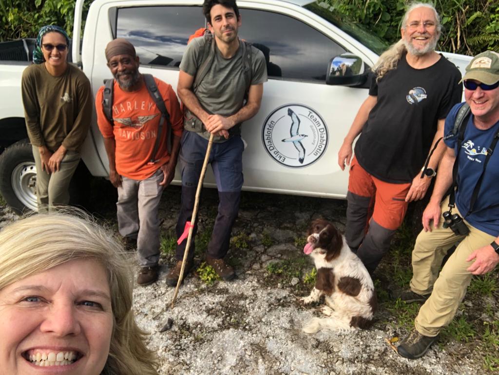 The #Diablotin team is working hard every day to find any evidence of this sps in #Dominica. Not much luck so far but we will keep visiting potential nesting areas with our #detectiondog Africa as well as potential aereal courtship areas!#Pterodroma #hasitata #expeditiondiablotin