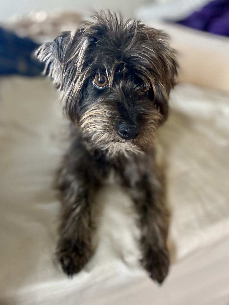 Happy Friday furrbuddies … the weekend is almost here and we are wishing you a day full of joy ❤️🐾🐾❤️