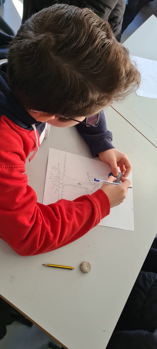 trinitariosVAL's tweet image. Trabajamos la autoestima y los talentos con la dinámica "Un paseo por el bosque" para resaltar nuestros talentos y lo de los demás. #YoLoValgo #Autoestima #Trinitarios