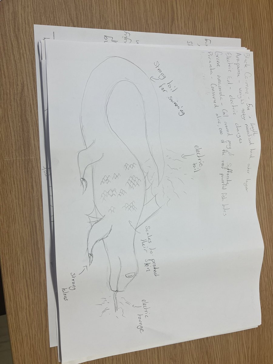 missgeog97's tweet photo. One of my favourite plenaries after learning about rainforest animal adaptations is asking pupils to come up with their own animal and labelling on its adaptations https://t.co/nR5L2GNSTX