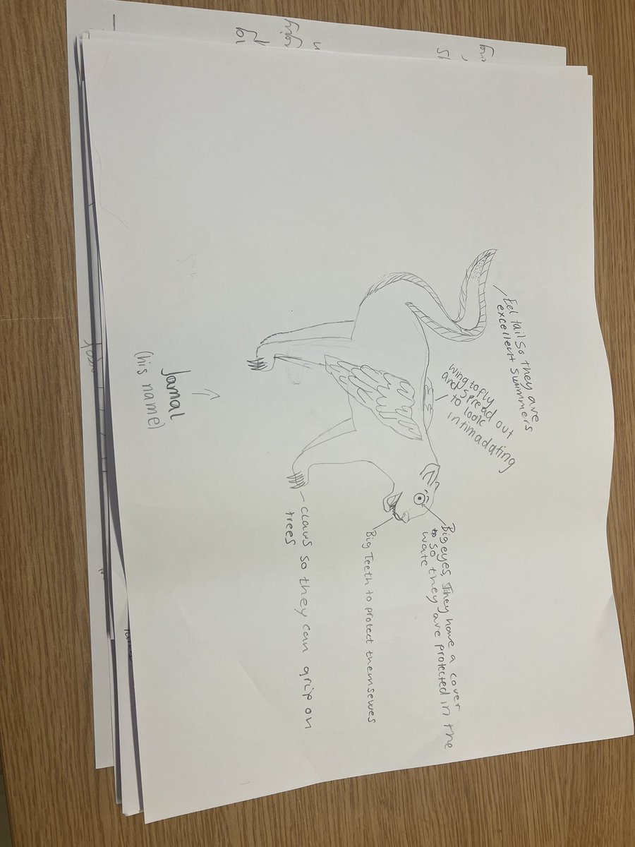 missgeog97's tweet photo. One of my favourite plenaries after learning about rainforest animal adaptations is asking pupils to come up with their own animal and labelling on its adaptations https://t.co/nR5L2GNSTX