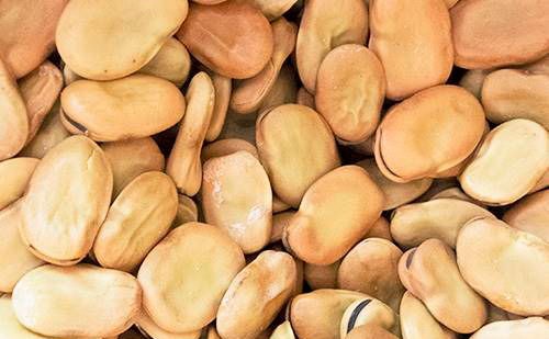 La Inventadera tweet media