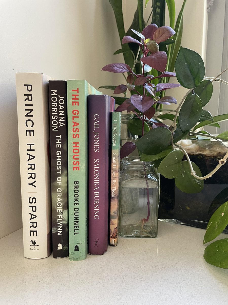 Summer’s reading: 1 huge bestseller. 3 Aussie writers. A booker shortlist. The Hungerford &amp; Fogarty Awards. A Prince. 2 wars. Several crimes. Ghosts. Literary fiction. Ageing. Families. Corruption and the church. I think I read widely this summer. What are you reading?