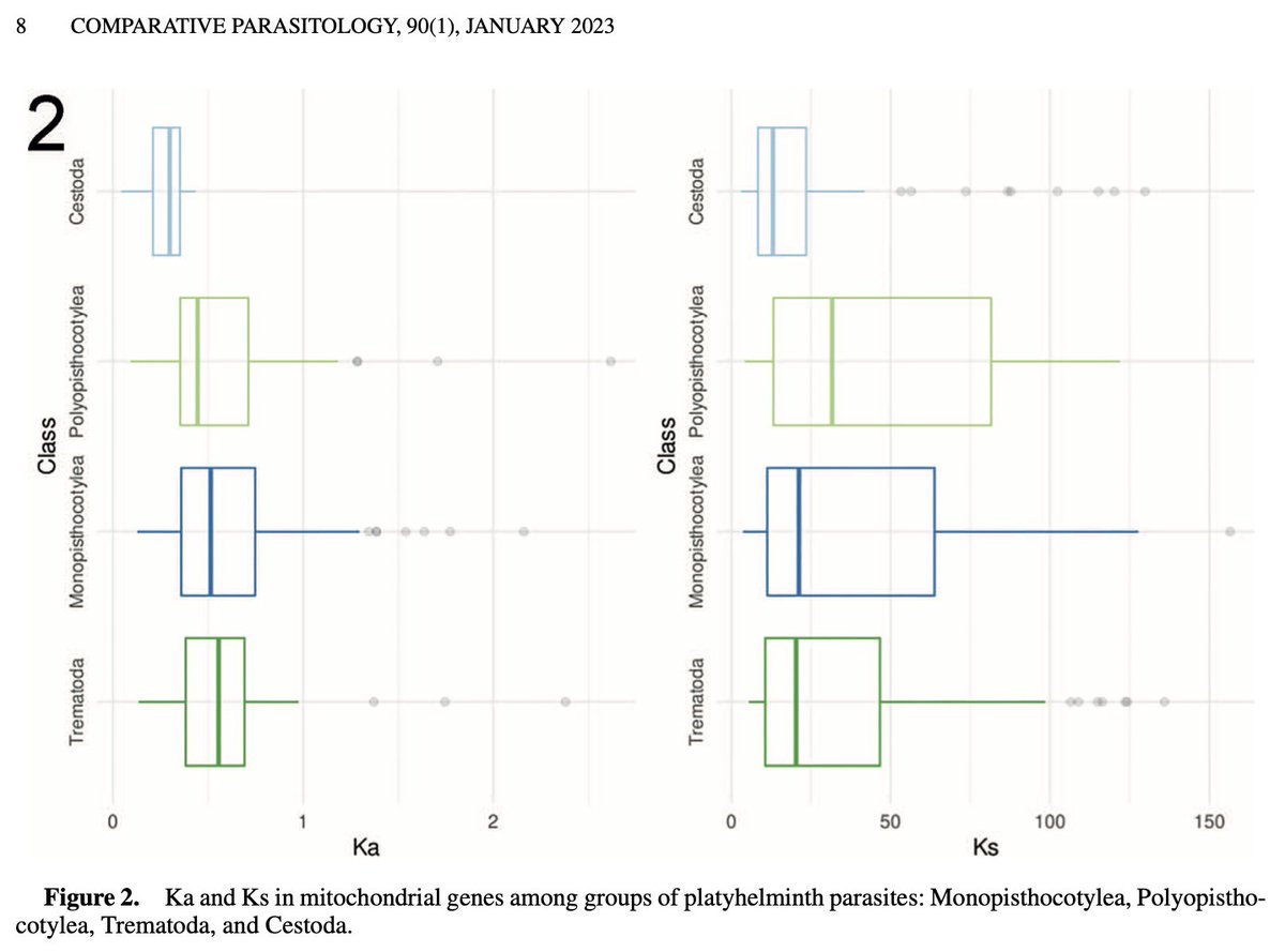 New in Comparative Parasitology!

PANAS: Pipeline and a Case Study to Obtain Synonymous and Nonsynonymous Substitution Rates in Genes of Platyhelminthes

By Víctor Caña-Bozada and Francisco N. Morales-Serna.

doi.org/10.1654/COPA-D…