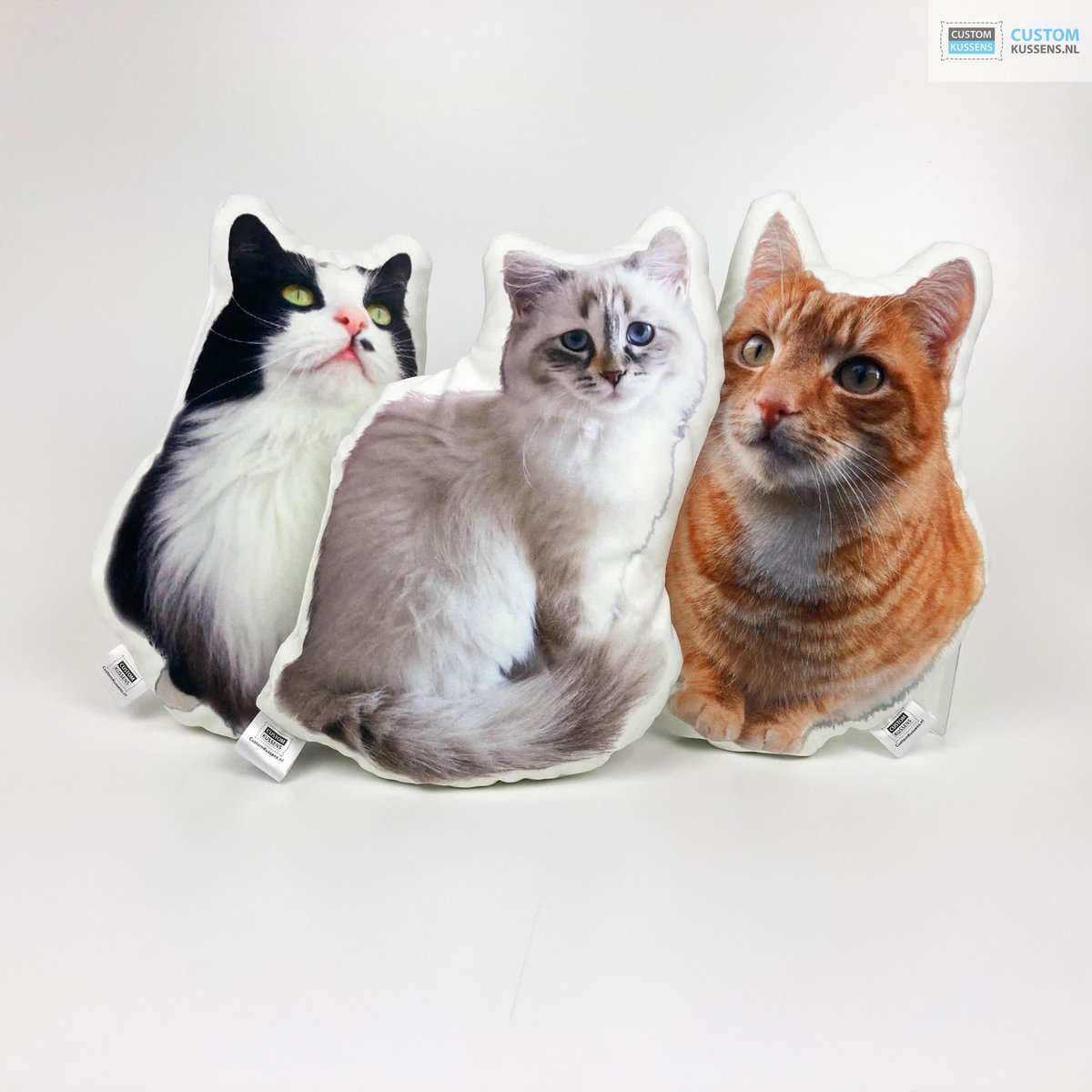 CustomKussens's tweet photo. Kussen van uw eigen kat laten maken? >> https://t.co/BwUT8KUG2g

#CustomKussens #Kussens #Decoratie #Huisdieren #Dieren #Kat #Katten #HuisdierenFotografie #DierenFotografie #HuisdierPlezier #FotoKussen #FotoKussens #KussensOpMaat... https://t.co/pdGP5kNc0r