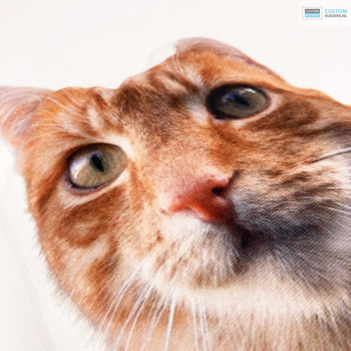 CustomKussens's tweet photo. Kussen van uw eigen kat laten maken? >> https://t.co/BwUT8KUG2g

#CustomKussens #Kussens #Decoratie #Huisdieren #Dieren #Kat #Katten #HuisdierenFotografie #DierenFotografie #HuisdierPlezier #FotoKussen #FotoKussens #KussensOpMaat... https://t.co/pdGP5kNc0r
