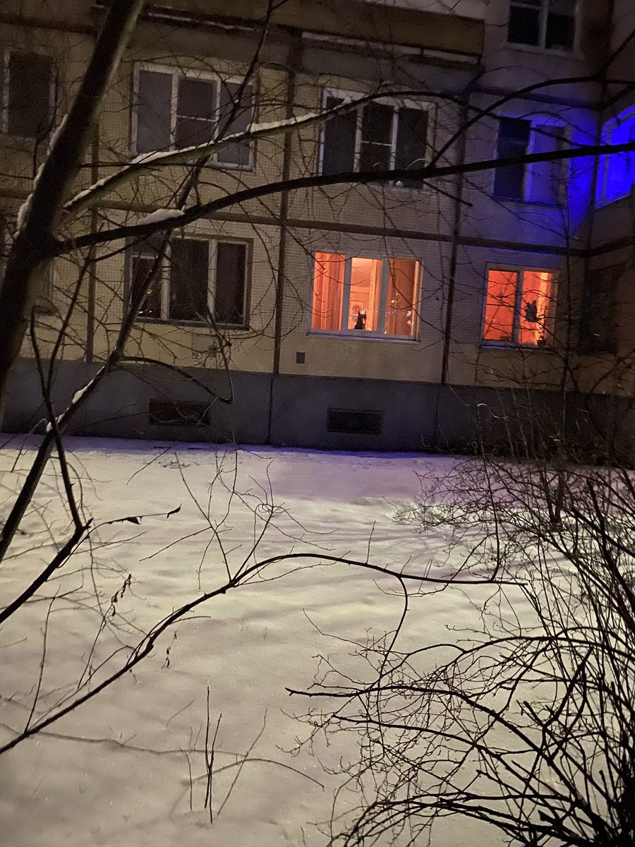 markuss618's tweet photo. Наблюдатель 😎 https://t.co/cfDciYKnFF