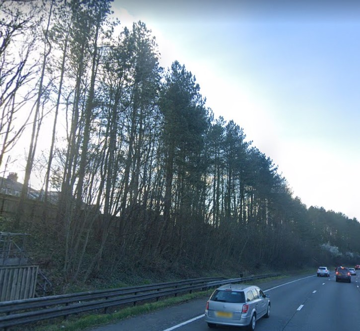 Traffic Wales South on Twitter "🚧 Essential hazard tree clearance