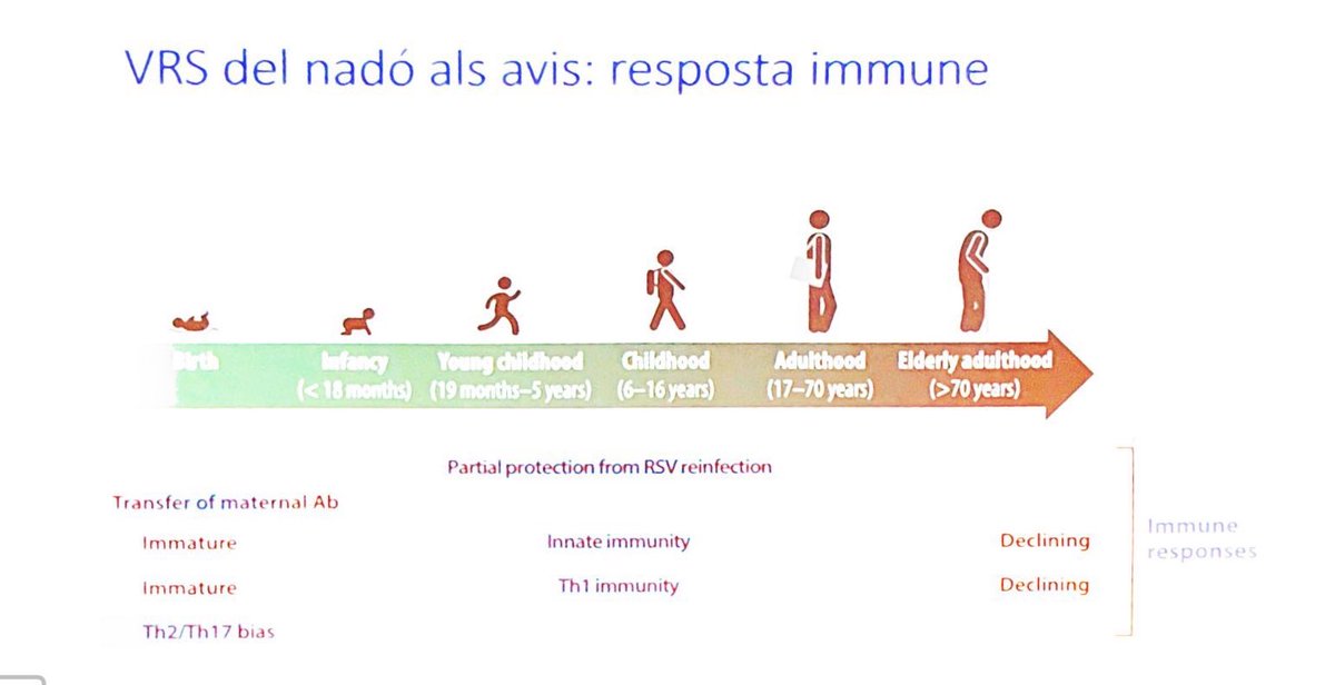 IVacunes's tweet photo. Implicacions immunitàries. https://t.co/WYbx8KUOIe