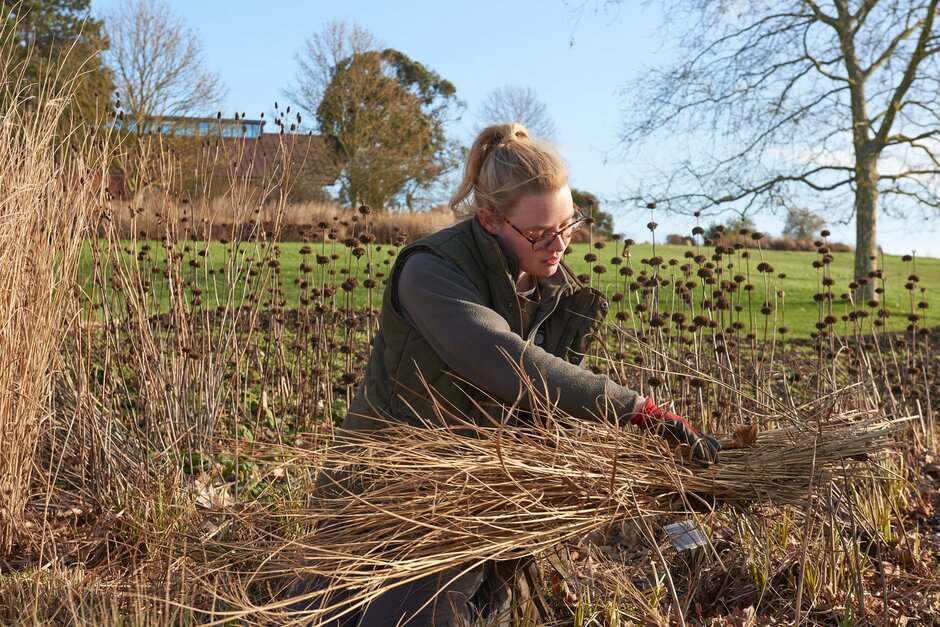 Our horticultural apprentices rotate round different garden areas during their training, helping to explore which might be of interest for a future career focus. Work alongside inspiring experts in world-class gardens. #NAW2023 @IFAteched rhs.org.uk/education-lear…