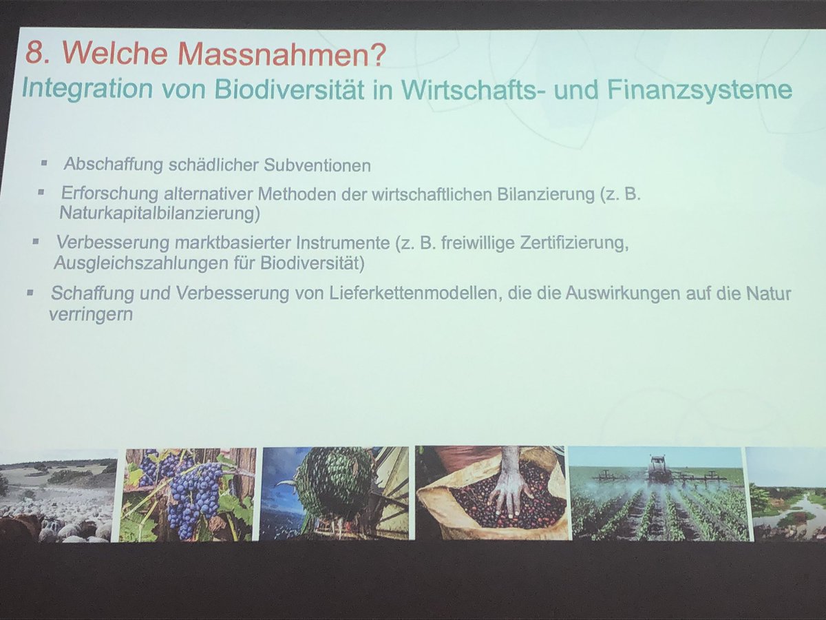 Schutz von Biodiversität, besonders in Krisenzeiten, z.B. mit dem neuen <a href="/UNBiodiversity/">UN Biodiversity</a> Ziel 30 x30, aber auch der Transformation anderer Sektoren, z.B. der Landwirtschaft &amp; Finanzsystemen. Anne Larigauderie, Exek.Direktorin <a href="/IPBES/">ipbes</a> heute an der #swifcob23 biodiversitaet.scnat.ch/id/fVE8j?embed…