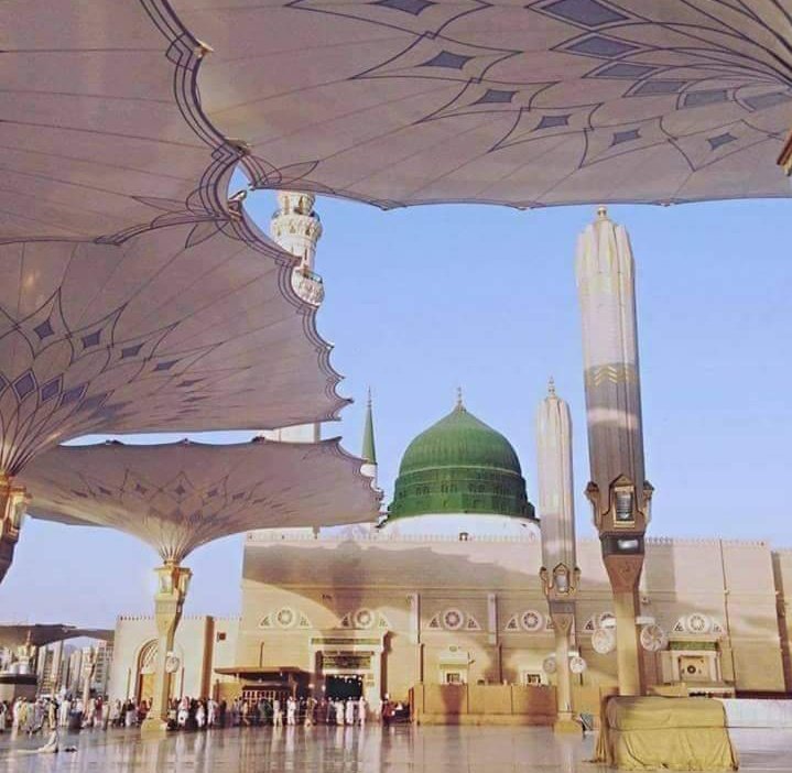 SabreenaSana tweet media