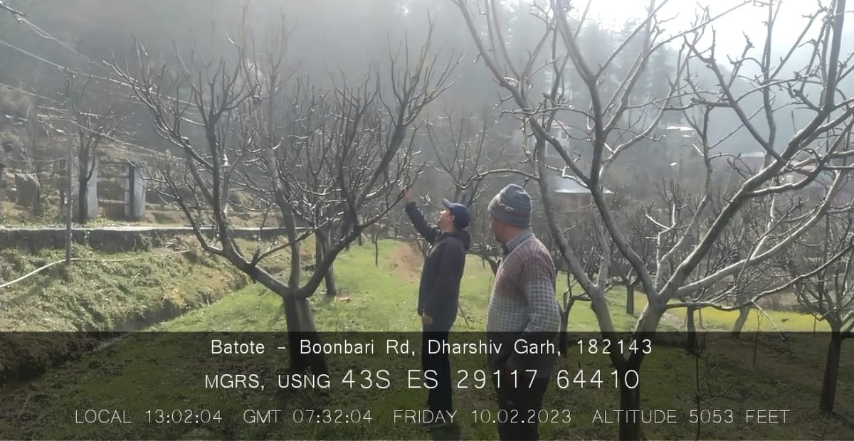 HorticultureDe7's tweet photo. Team CHO-R doing area expansion and spreading of awareness about the CSS/UT Capex and latest technologies through organizing of awareness camps on daily basis. Also the hands on training and pruning of the fruit trees is being performed and show cased. @dcramban  @Divcomjammu https://t.co/Vk6lSx4VVN