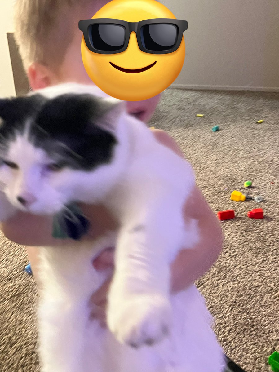 CicketCatto's tweet photo. løve my brø-thúrr but gøod LORD bøy iâm not an ACCESSŌRY https://t.co/IfGkZsBMfS