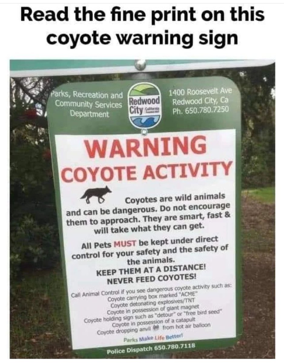 FlamingoRonny's tweet photo. Beware of the Coyote with ACME items 😂
#webfind https://t.co/g9bcNHyOgf
