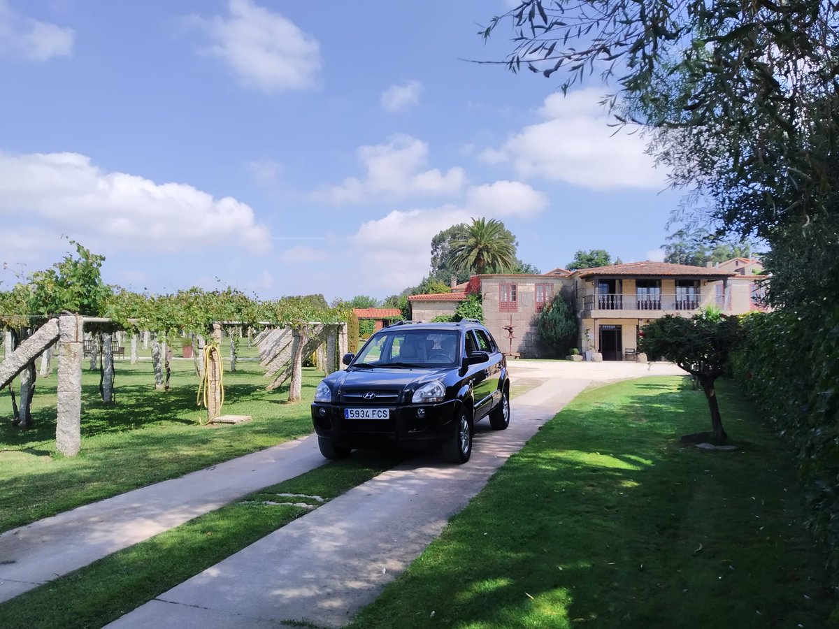 They don't look like that right now, of course. The exuberance is yet to come. #ValdoSalnes #RiasBaixas #Albariño #emparrado #pergola #4x4tours #bespoketours #northwestiberiawinetours