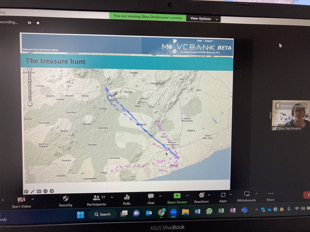 bats_w_borders's tweet photo. Keynote speaker Dr @DinaDechmann @MPI_animalbehav talks about secret #gardeners of #Africa - straw-coloured fruit bat a keystone species widespread across Africa but in decline. Tagging bats to understand #dispersal distances and #seasonal differences #treasurehunt #WiBS2023 https://t.co/qgMs1GTsdY