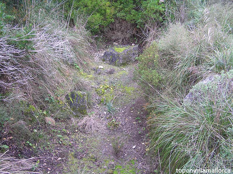 mescan1's tweet photo. Ara que es torna parlar de cases de neu recordarem que l'única situada fora de la Serra es troba a Can Canals (Artà) a una cota extremadament baixa (260 m) només explicable per l'anomenada petita edat del gel (s XVI-XVIII) i recordada per oblidats topònims com el coster de sa Neu https://t.co/9YVVVcWa2i