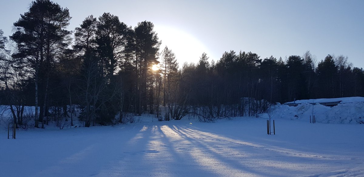 Eli Thoré tweet media