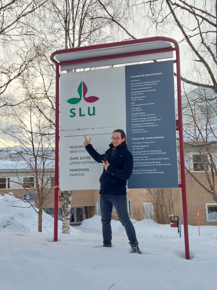 Eli Thoré tweet media