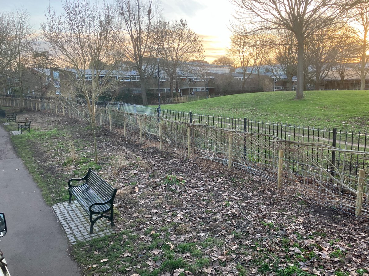 Lambeth TCV tweet media