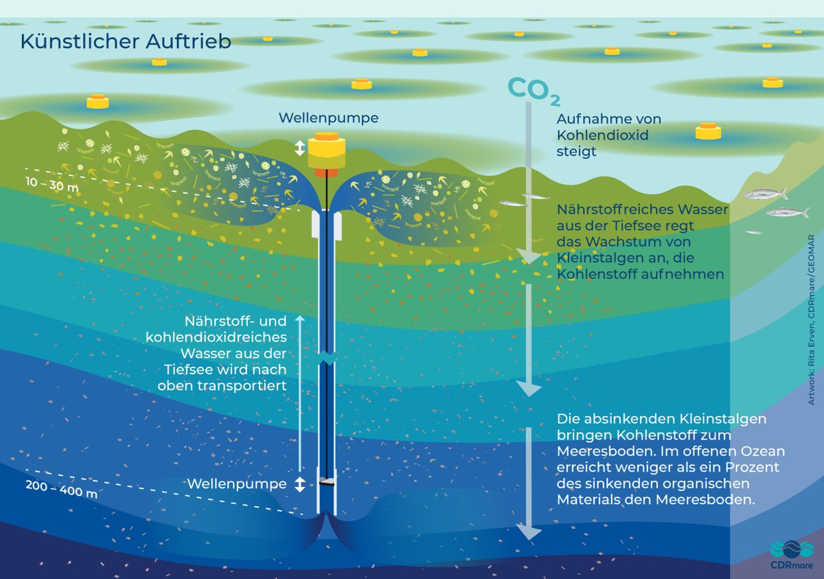 CDRmare's tweet photo. Können wir künstlichen Auftrieb von nährstoffreichem Tiefenwasser nutzen, um das Planktonwachstum zu fördern & so mehr #CO2 zu binden? In #TestArtUp werden umfassende transdisziplinäre Studien zur Machbarkeit erforscht - mehr dazu in den #CDRmare #FactSheets #oceanbasedCDR 👇🏽1/2 https://t.co/k7h16d3AHP