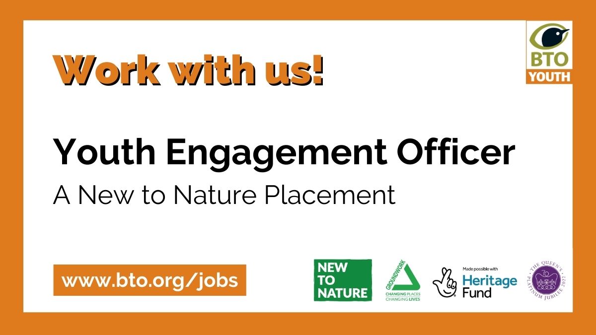 💼 Job Vacancy: Youth Engagement Officer

Applications for this fantastic job opportunity close next week! Apply by 12 noon on Friday 17th February 👉 bto.org/jobs