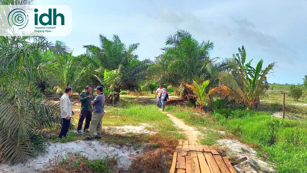 idh_indo's tweet photo. Kerjasama ini bertujuan untuk mendukung produksi sawit berkelanjutan serta mendukung usaha-usaha untuk perlindungan kawasan hutan dengan mengembangkan rencana sub-landscape di Ketapang. https://t.co/bRCXX8kq98