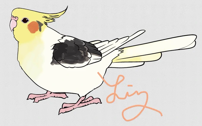 コインパスケースのオーダーのオカメインコちゃんのイラストとパスケースのデザインをしました。 様々なお好みのお花をちりばめたいと言うことで、背景の植物は特注になります^^ 