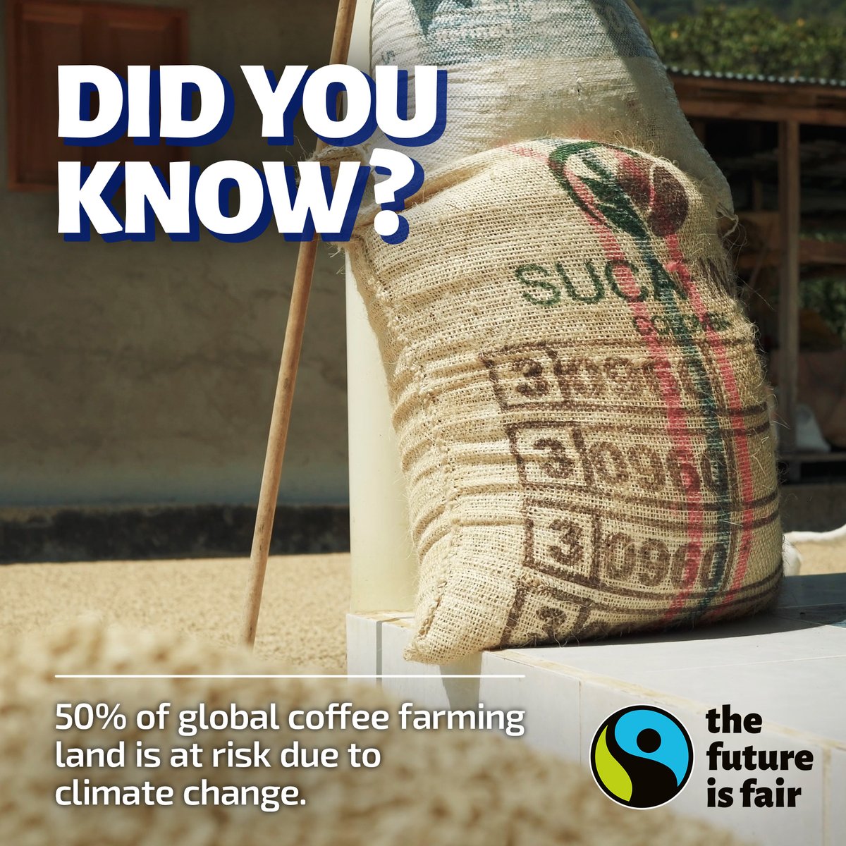 Fairtrade Intl tweet media