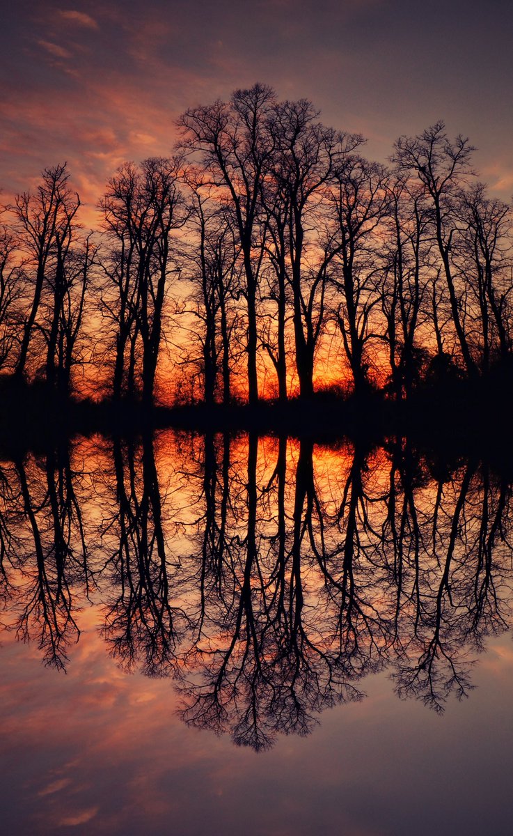 Reflection (edited) of last night’s sunset.
#TwitterNaturePhotography #digitalart 

fineartamerica.com/featured/refle…