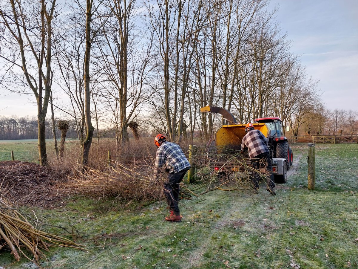 Oscarsgroen's tweet photo. In deze mooie #winterweek met nachtelijke #vorst & #winterzon overdag, snoeien de #hoveniers de bomen, #knotten ze de #wilgen, dunnen ze se singels uit, versnipperen ze het #snoeihout, snoeien ze vakkundig de #fruitbomen, zagen ze de berken weg & kleinzagen ze voor de houtkachel https://t.co/V6533q55JW