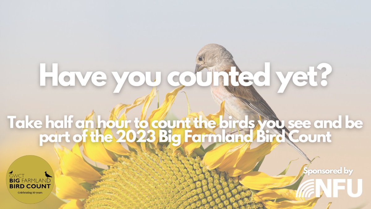 We are one week into the Big Farmland Bird Count, over 115 species have been spotted so far #BFBC 🐦 Have you done your count yet? 🤔 You have until Sunday 19th Feb to take part. DON'T FORGET to submit your results online to make your birds count ➡️bfbc.org.uk/take-part/
