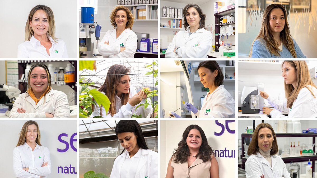 seipasa's tweet photo. Desde pequeñas nuestras compañeras tenían claro que su vocación estaba relacionada con el campo de la ciencia.
👩🔬👩🌾👩💻 Investigadoras, técnicas e ingenieras agrónomas esenciales en la innovación y desarrollo de nuestra #NaturalTechnology.
#11febrero #DíaDeLaMujerYLaNiñaEnLaCiencia https://t.co/AvSgbLjxac