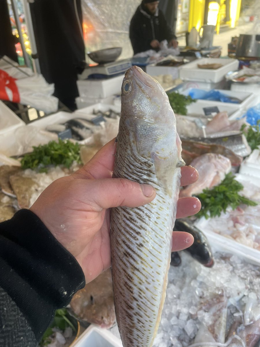 Jonathan Norris tweet media