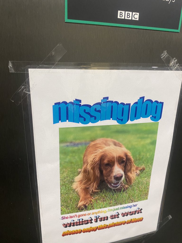 Charlie Haynes tweet media