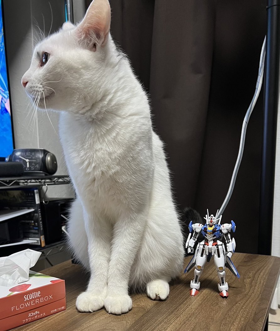 久々にプラモ作ったわ。エアリアルのフォルムすき