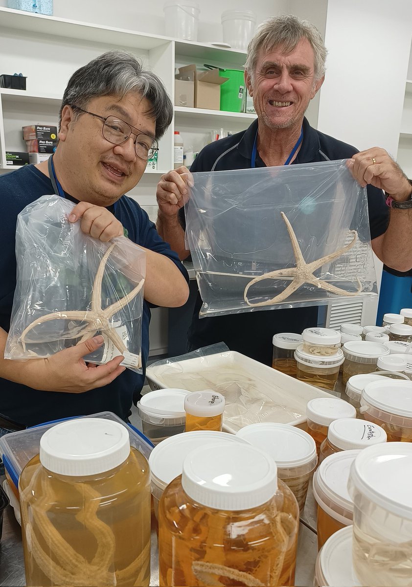 Stars aligning today @wamuseum with @echinoblog & John Keesing catching up to delight over the newly unpacked #RVInvestigatorGascoyne Asteroid collection #speciesdiscovery #newrecords #taxonomy #thisisWA #marineinvertebrates #deepsea