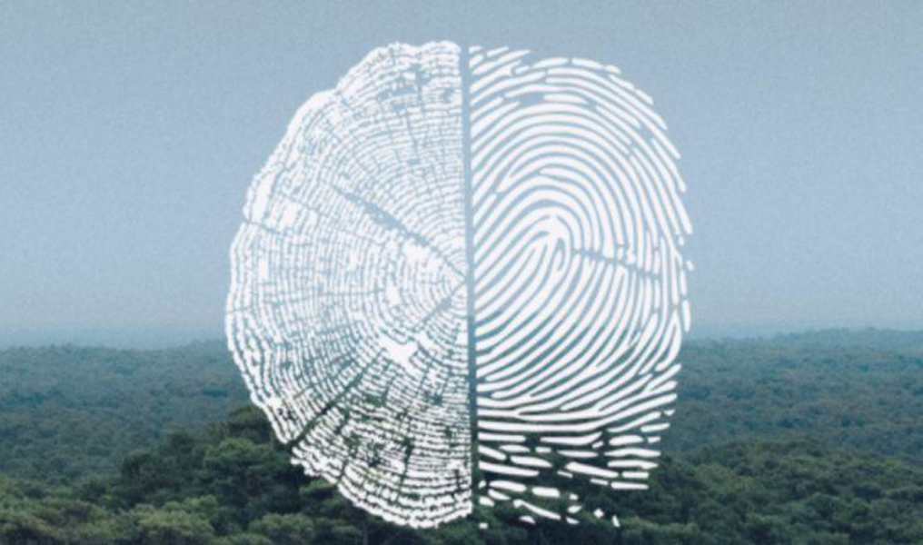 Creative Ireland tweet media