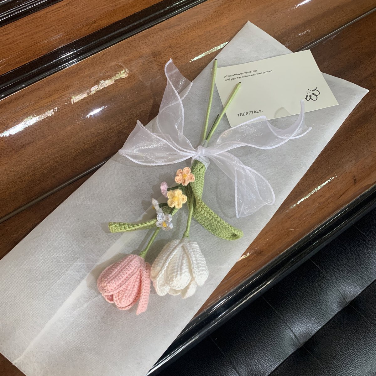 trepetals's tweet photo. I love you tulip much☺️🫶🏻 https://t.co/mD2mg2WxwG